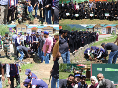CELEBRATION OF VAN MAHOTSAV